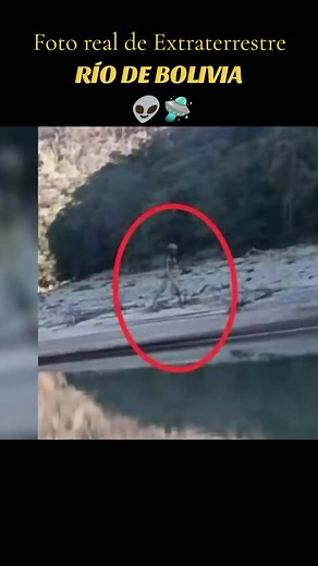 Fotos Reales de Extraterrestres en Bolivia