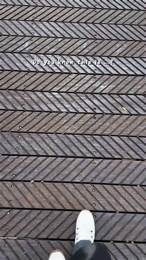 凱文文文文 on Instagram: "🇹🇼 A Must-Visit Nautral Place in Taiwan❤️ ”Alishan National Forest Recreation Area“, named by The New York Times as one of the “52 Places to Go in 2025,” is the most iconic and popular mountain and forest destination in Taiwan. Once one of Taiwan’s most important forestry regions, Alishan is rich in natural heritage, home to thousand-year-old Chamaecyparis formosensis (Taiwan red cypress) and the historic Alishan Forest Railway, originally built for timber transportation.