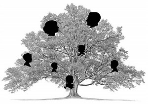 Create a Pictorial Family Tree With Inexpensive Frames, Paint, and a Photocopier