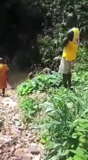 Eze Nwanyi Is In Big Trouble 👇👇👇 | 9News Nigeria