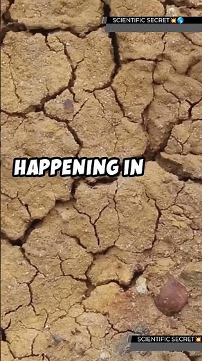 🌵Desertification: A Growing Threat to Our Planet|Causes & Solutions Explained #Desert #ClimateChange