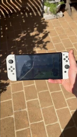 OLED Nintendo Switch: The ultimate outdoor screen test