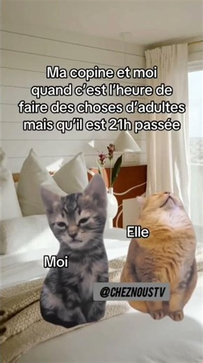 La triste realité... 😘😴 #memefr #memecouple #drole #dormir #lit #videodrole #francophone