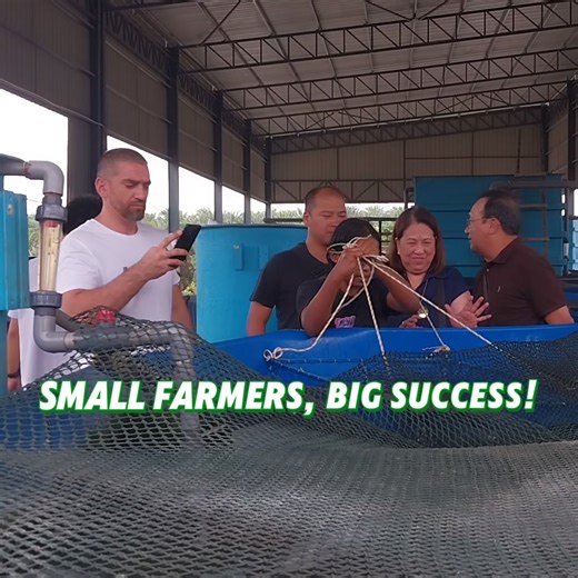 Tired of watching your shrimp farm wash away? 🌊 Move indoors and say goodbye to floods, risks & unpredictable weather! Year-round harvests are just a step away... Start building your indoor empire today! | RAS Aquaculture