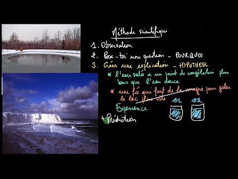 The scientific method