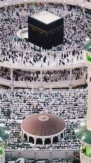 Noor Wala Aya Ha - Farhan Ali Qadri #islam #freepalestine #shorts #youtubeshorts #shortvideo #viral