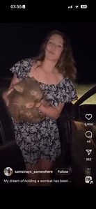 When I woke up this morning my inbox has exploded. My heart sank as that can only mean something bad happened. And it has. An American tourist who calls herself a biologist and environmental scientist, stole a baby wombat from its mother in the wild. She ran to her partner at the car to get it on film and both were laughing the whole time, even though the baby was screaming in absolute terror and distress and the mum was following. I want to make something extremely clear to those who don't know