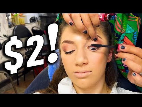 THE WORLD'S CHEAPEST MAKEUP LOOK