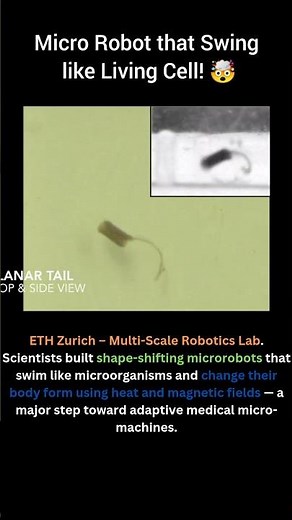 Shape-Shifting Micro Robots That Swim Like Living Cells! 🤖🧬