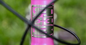 Revisited: REEB STEEZL