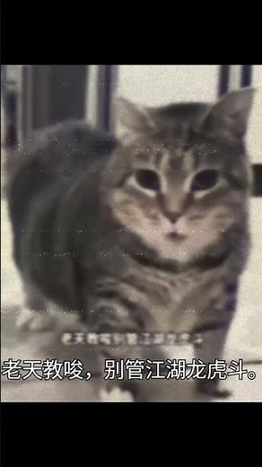 Brainrot Cat Bass Boosted meow meow meow