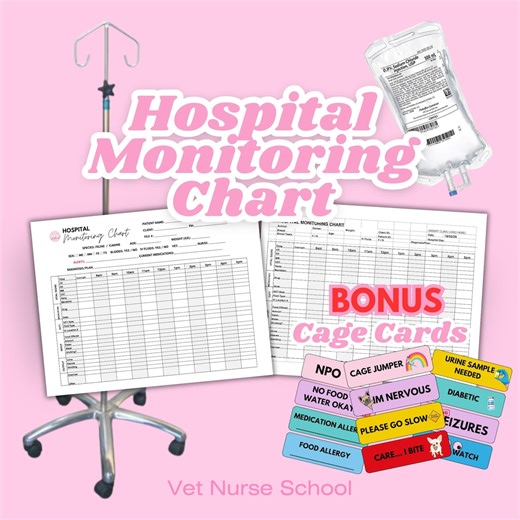 Veterinary Hospital Monitoring Chart Vet Nurse Vet Tech Template - Etsy UK