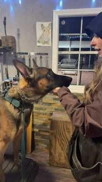 💥REVERSE ENGINEERING💥START AT THE END…..🕵️‍♂️ identifying the finite behavior