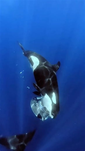 128K views · 1K reactions |  + : @nadia.aly.photo "Out at sea, we...