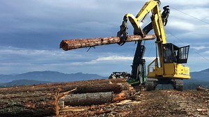 Northwest lumber companies cheer new tariffs against wood imports from Canada
