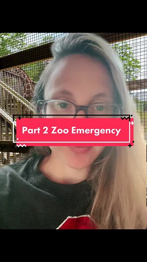 #greenscreenvideo #greenscreen part two of the Zoo emergency! I don’t want to speculate on the injury of the kid that got hurt, but I hope they are on the mend today! #zoo #emergency #fyp #parttwo @jessicabowers33