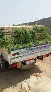 7.5K views · 33 reactions | 01003677232 01010766047  متاح حجز...