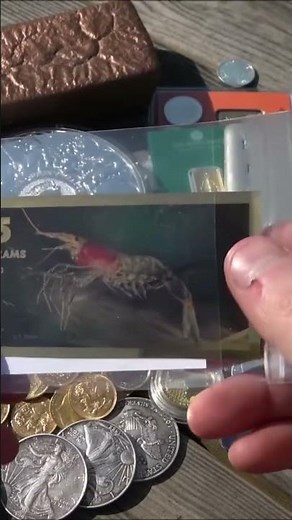 Fractional gold vs real coins the difference will shock you #goldStacking #market