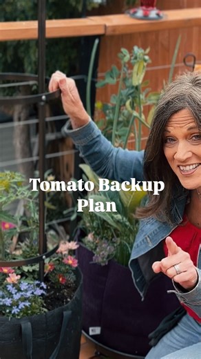 46 reactions · 8 comments | Got a tomato back-up plan? Well, you need...