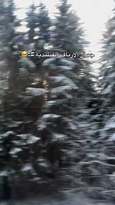 Winter magic in Finland #love #winter | Cross border عبر الحدود