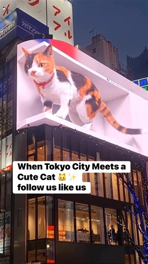 Tokyo’s Cutest Resident 🐾 Real City Cat in Japan 🇯🇵 #TokyoCat #JapanLife #CuteCat #TokyoCity #OnlyInJapan | Tokyo Daily