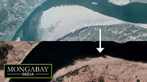 934 reactions · 283 shares | Excess extraction of sand from lakes, riverbeds, deltas and shores has destroyed habitats, changed the course of rivers, eroded banks, and swallowed up villages in India and worldwide. https://india.mongabay.com/2021/05/video-sand-mining-and-how-it-erodes-lives-and-the-environment/ | Mongabay-India | Facebook