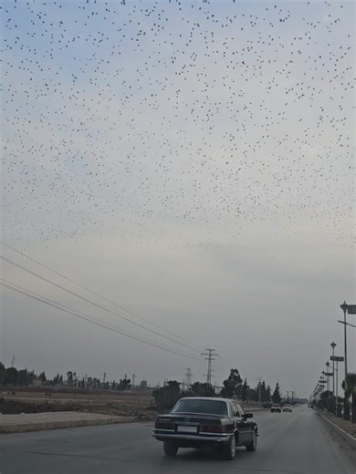 Newroz: Spring's Renewal and Hope