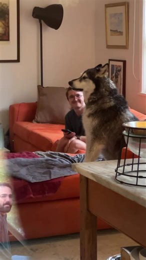 3.5K views · 74 reactions | With much thanks to Alex and Wyatt, Bear...