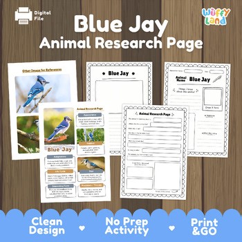Blue Jay Animal Research Page | Bird Life Cycle & Habitat | Print & Go