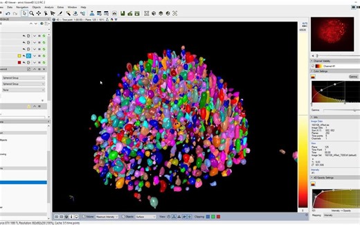 arivis Vision4D Tutorial Distance Measurements - Overview