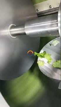 Automatic Fruit and vegetable centrifugal dewatering machine industrial food continuous dehydrator