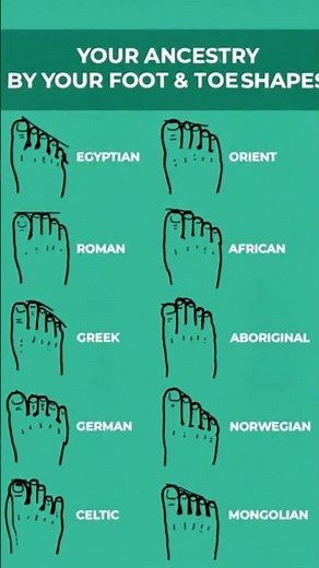 your ancestry by a foot & toe shapes#knowledge lovers ❤️😍💖🙏