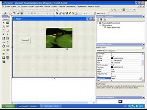 Visual basic 6. 0 mover imagen en tiempo de ejecucion