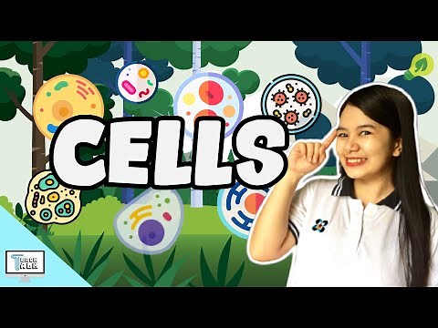 Cells: Structures and Functions | Biology