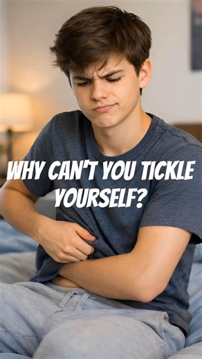 Why Can’t You Tickle Yourself? 🤯 #facts #shorts