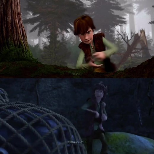 Toothless and Hiccup's Adventures in Dragons: Race to the Edge