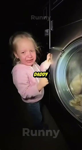 A Cat and Golden Retriever Got into a WASHING MACHINE - Rescue Mission 🐱🧺🐕