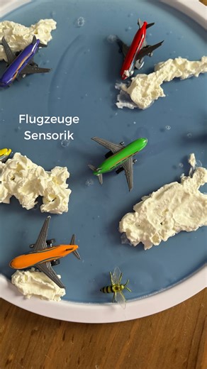 Melli | Mama | Content & UGC Creator on Instagram: "Himmel & Flugzeuge ✈️ ☁️ So simpel & schnell gemacht. Trotzdem große Förderung für dein Kind. Beim Spielen mit Agar-Agar passiert nämlich viel mehr als man auf den ersten Blick denkt: - 🧠 Sinneswahrnehmung (Unterschiedliche Konsistenzen fühlen (glatt, kalt, weich, rutschig) stärkt die sensorische Integration.) - ✋ Feinmotorik & Hand-Auge-Koordination (Greifen, drücken, platzieren, bewegen kleine Bewegungen mit großer Wirkung.) - 🗣 Sprache & D