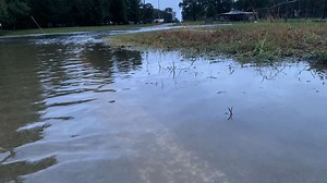 Here's the latest in road closings, traffic alerts in Central Georgia