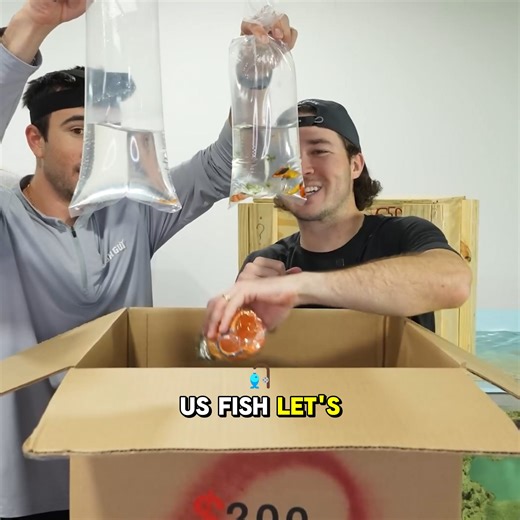 Opening the World's Largest Live Fish Box | The Fish Guys
