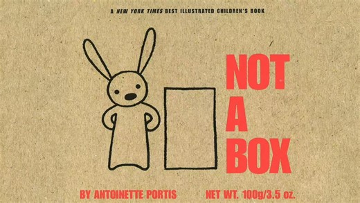 Not A Box - Antoinette Portis