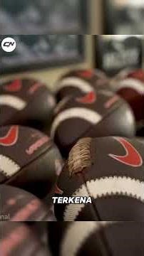 Orang Ini Dibayar Untuk Menjinakkan Bola NFL
