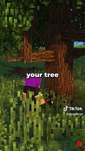 Realistic Minecraft Experience in RL Craft