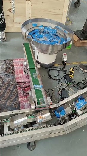 Sachet counting sorting system