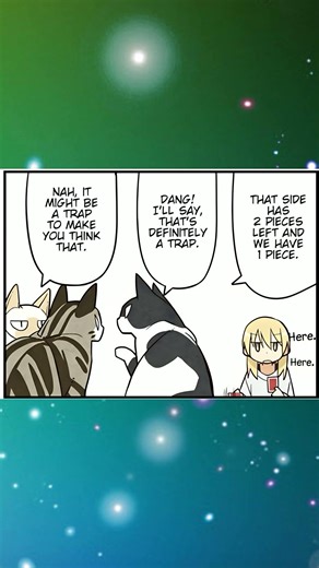 I am a Cat 🐱: Cat vs Human, was it worth it?