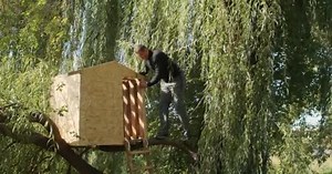 Happy Father Son Build House Tree Look Drawing Cut Tree