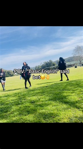 What Does 'Basic English' Mean? POV Explained for Grade 12 Students