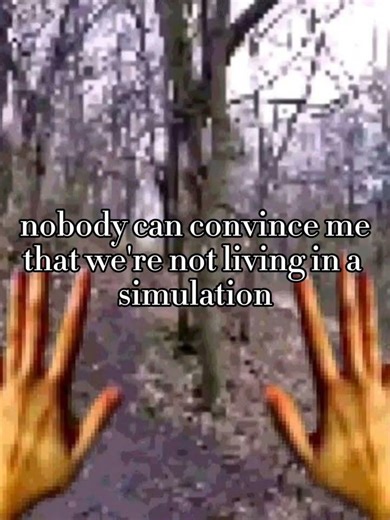 we'll never get to the bottom of it #simulation #lifeisagame