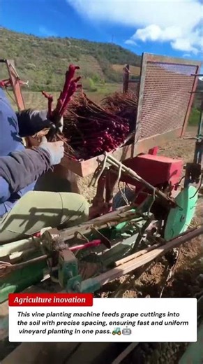Genius Vine Planting Machine 🍇🔥 | Perfect Grape Planting in One Pass 🚜