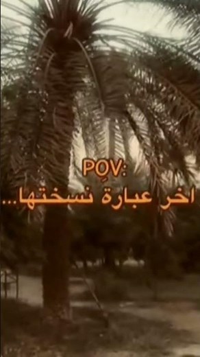 ٢٧ ديسمبر ٢٠٢٥